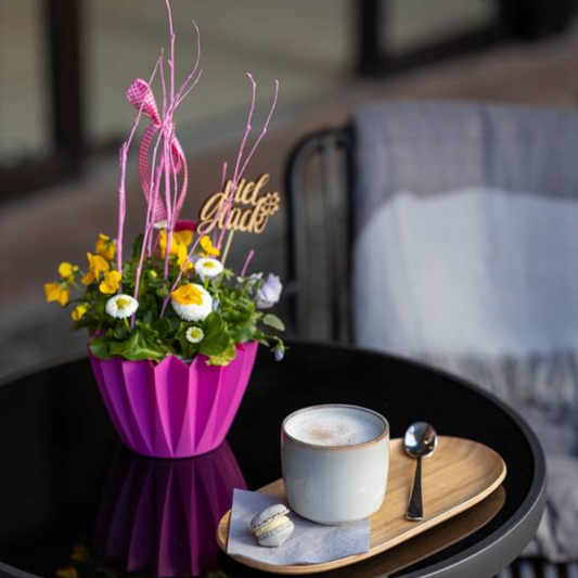 Cafe Greven